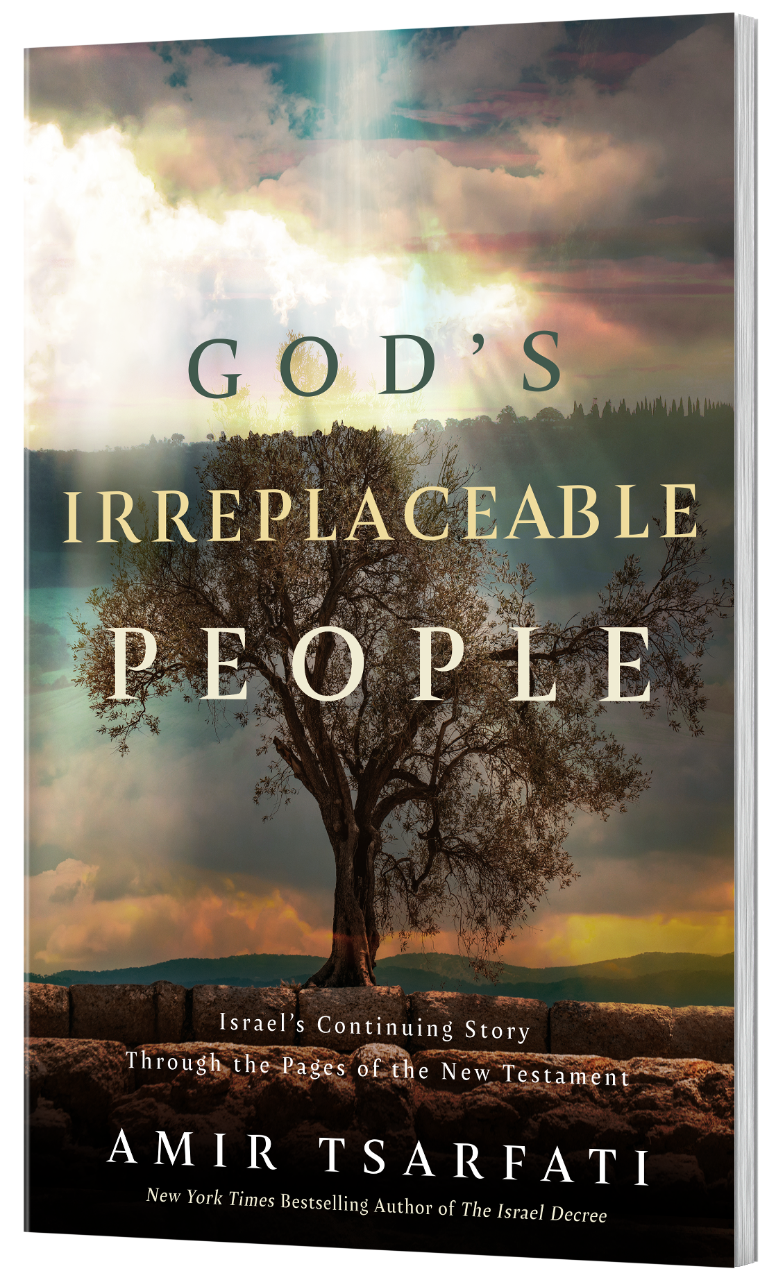 God's Irreplaceable People cover